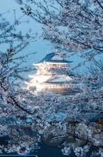 02世界杯乌拉圭成绩-乌拉圭在2002年世界杯的征程与表现